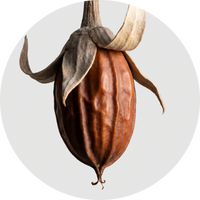 Jojoba Oil